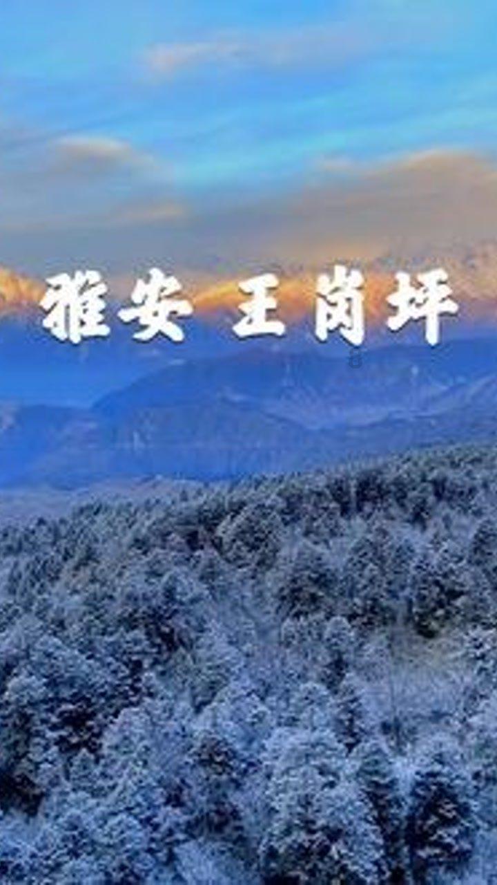 家里孩子老玩游戏怎么办？游戏画面