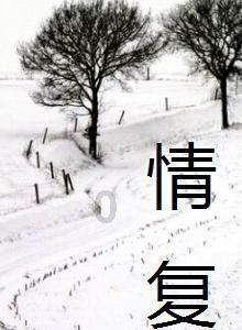 88影视