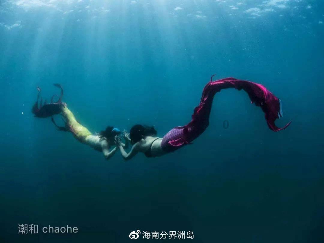 蒙语才是玲花的舒适圈,曾毅都插不上嘴,开口乱杀